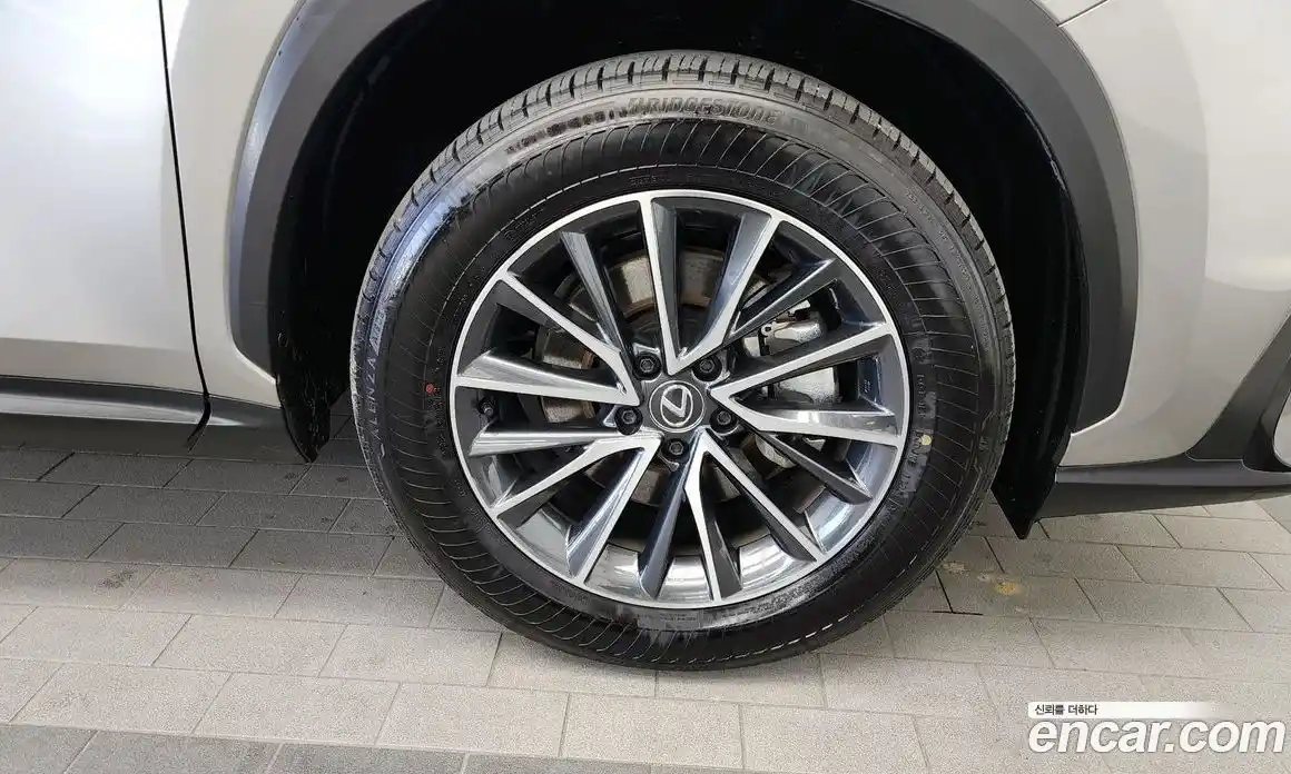 Lexus NX 2025 2.5 гидро, фото 5