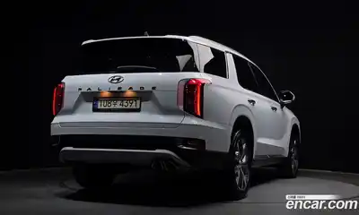 Hyundai Palisade 2021 3.8 гидро, миниатюра 2