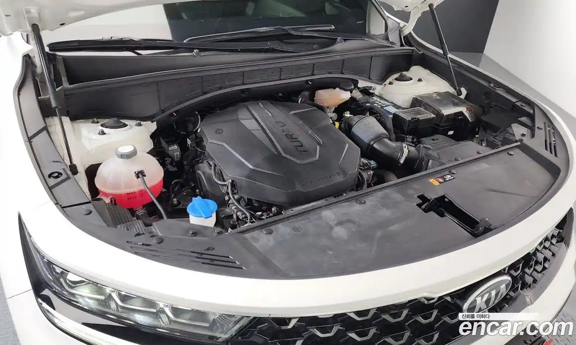 Kia Sorento 2020 2.2 гидро, фото 6