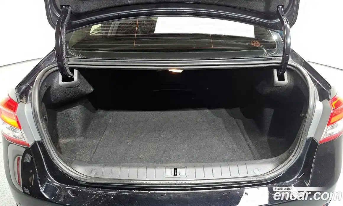 Renault SM5 2017 2.0 гидро, фото 26