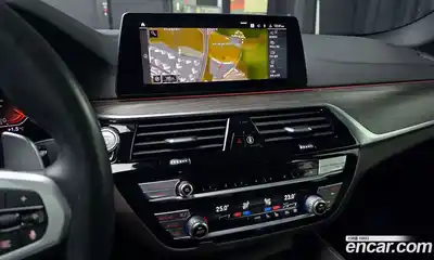 BMW 5-Series 2020 2.0 гидро, миниатюра 12