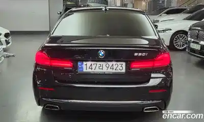 BMW 5-Series 2023 2.0 гидро, миниатюра 4