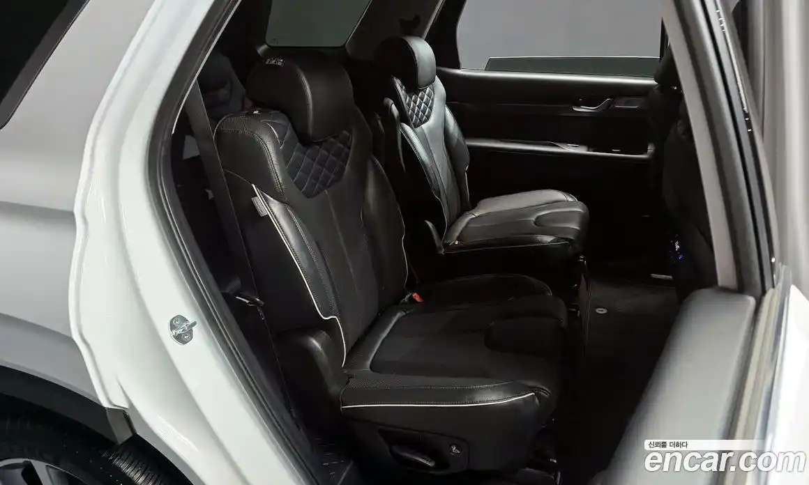 Hyundai Palisade 2020 2.2 гидро, фото 17