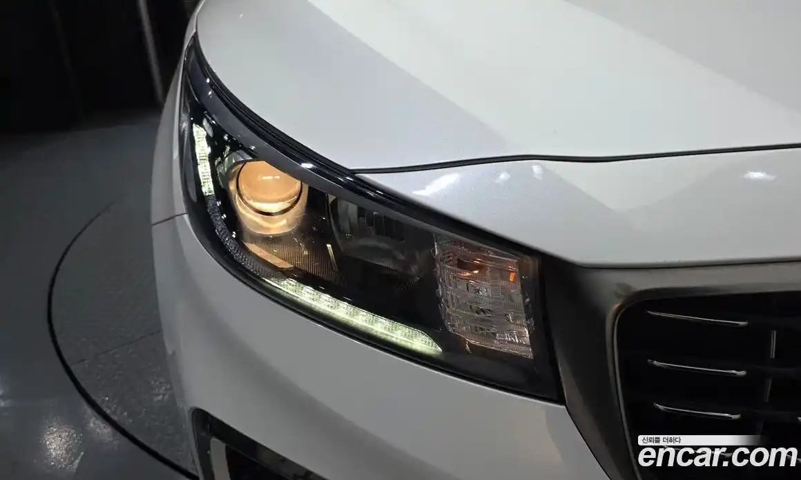 Kia Canival 2019 2.2 гидро, фото 8