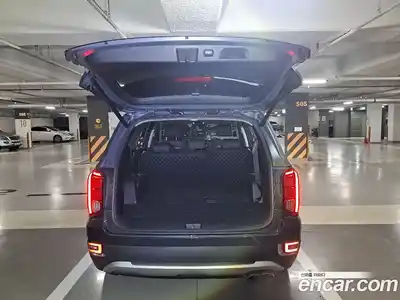 Hyundai Palisade 2019 3.8 гидро, миниатюра 10