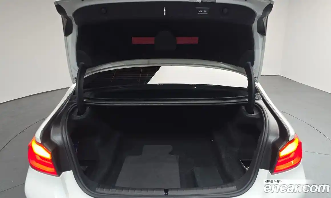BMW 5-Series 2018 2.0 гидро, фото 31