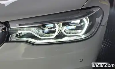 BMW 5-Series 2018 2.0 гидро, миниатюра 7