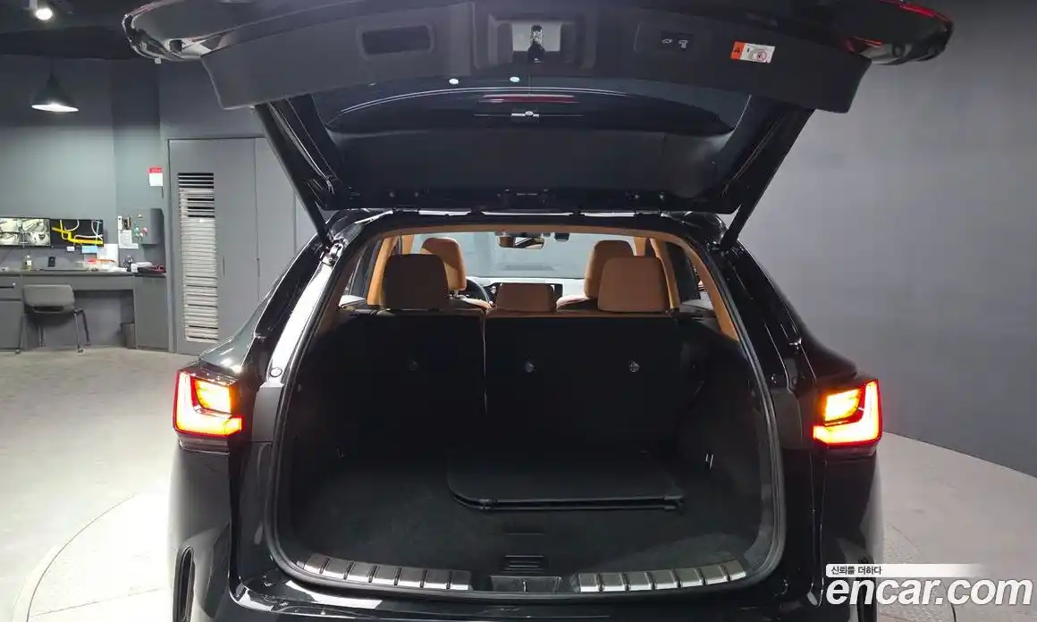 Lexus NX 2023 2.5 гидро, фото 26