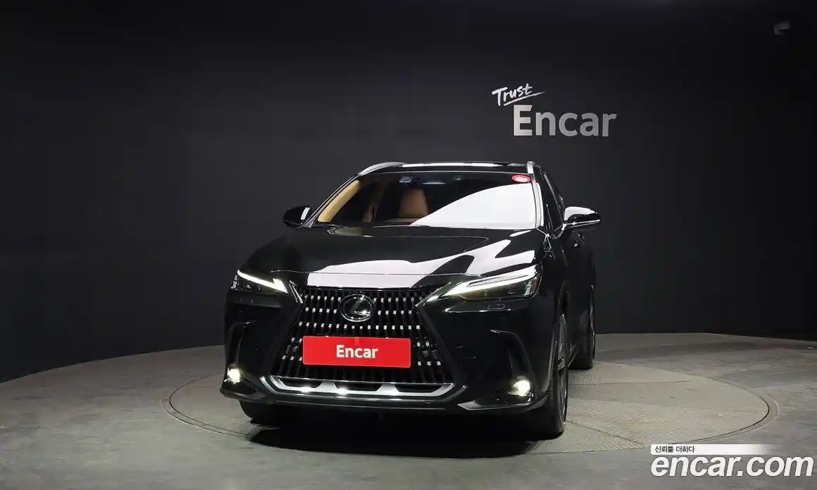 Lexus NX 2023 2.5 гидро, фото 3