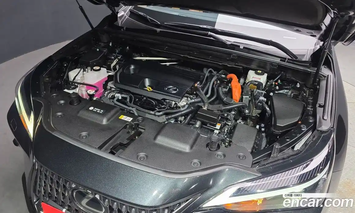 Lexus NX 2023 2.5 гидро, фото 6