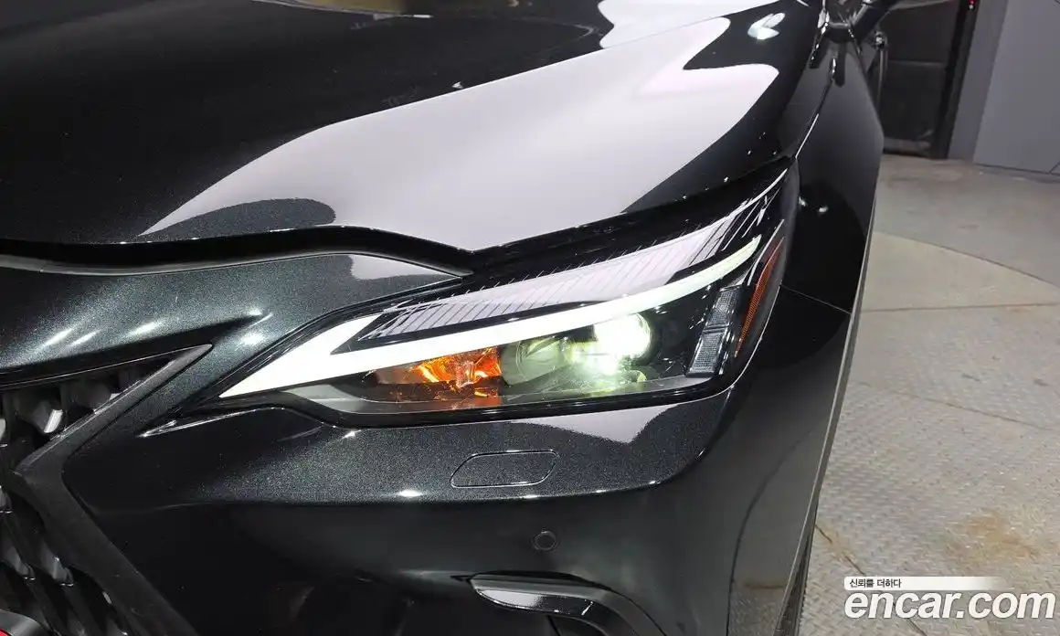 Lexus NX 2023 2.5 гидро, фото 8