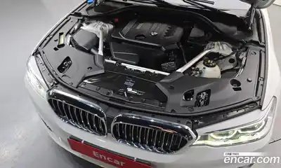 BMW 5-Series 2018 2.0 гидро, миниатюра 6