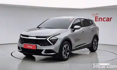 Kia Sportage, 2024, 17 343 км