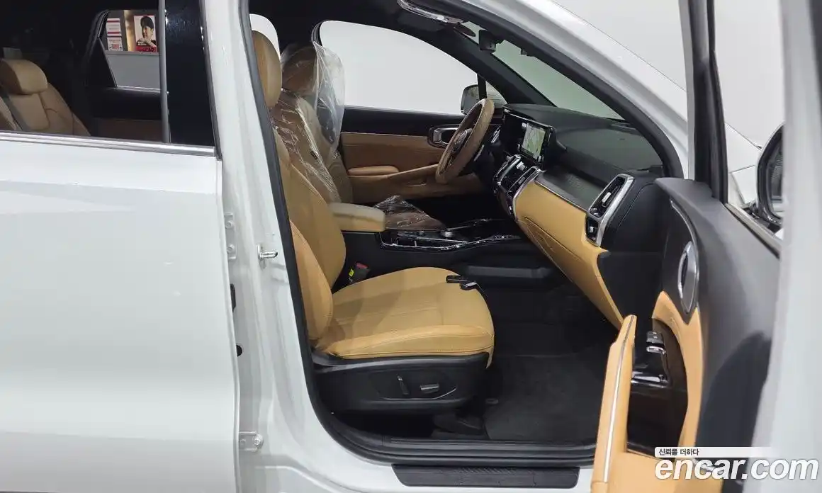 Kia Sorento 2022 2.2 гидро, фото 16