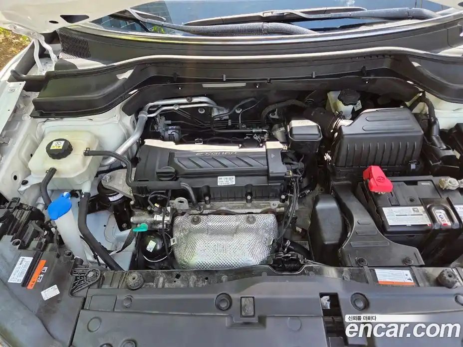 SsangYong TIBOLI 2018 1.6 гидро, фото 19