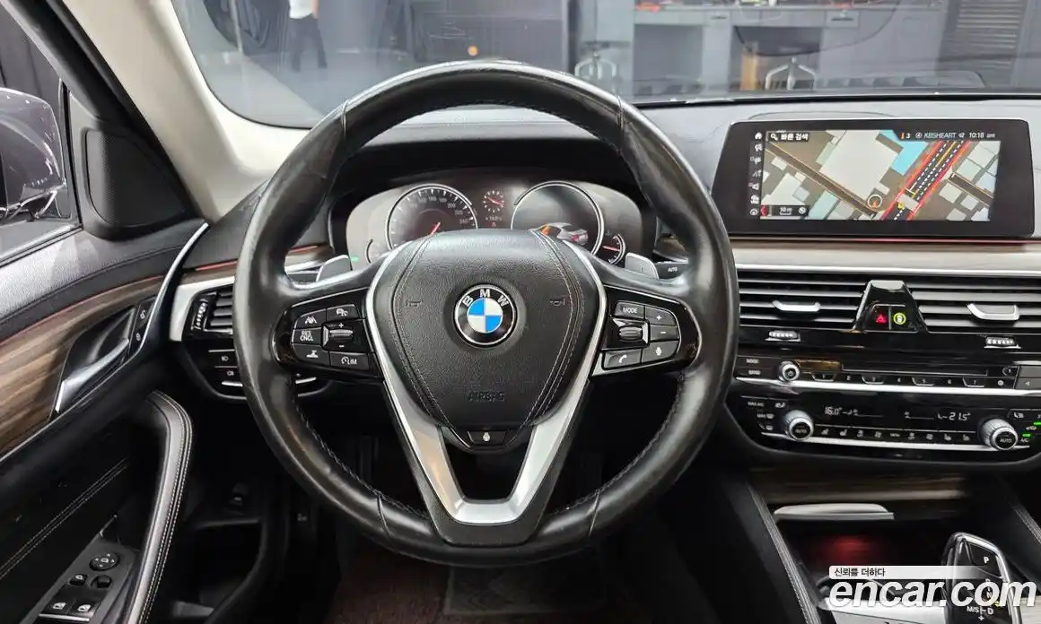 BMW 5-Series 2018 2.0 гидро, фото 18
