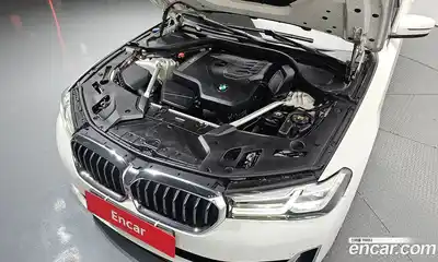BMW 5-Series 2021 2.0 гидро, миниатюра 6