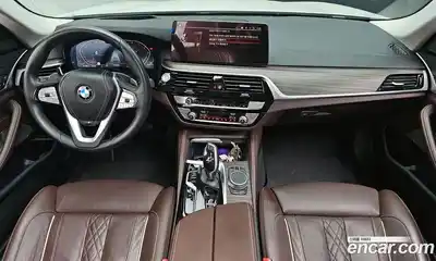 BMW 5-Series 2021 2.0 гидро, миниатюра 10