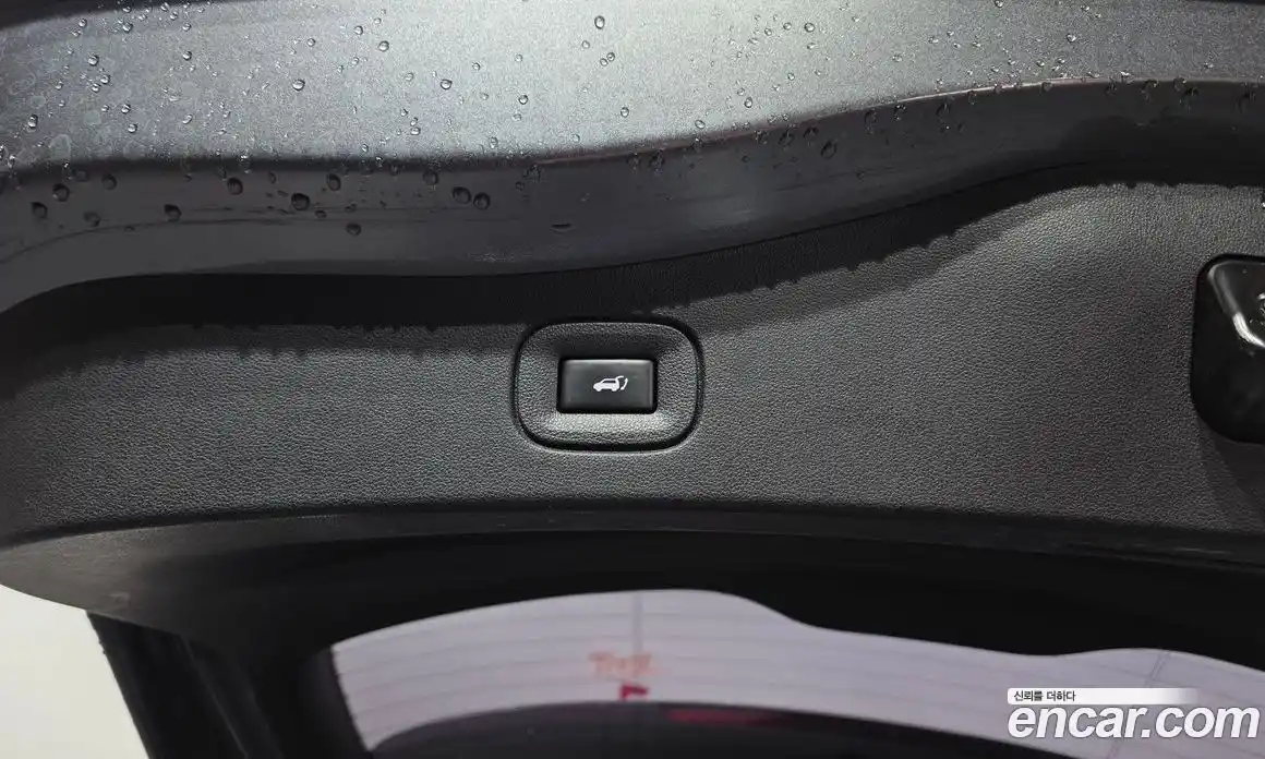 Renault QM6 2020 1.7 гидро, фото 20