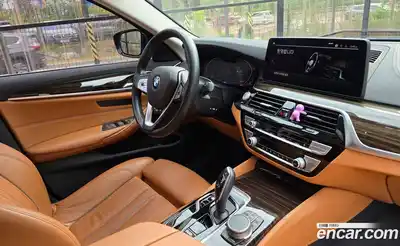 BMW 5-Series 2020 2.0 гидро, миниатюра 6