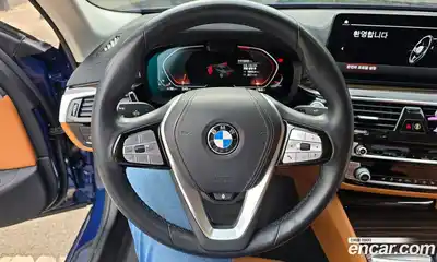 BMW 5-Series 2020 2.0 гидро, миниатюра 8