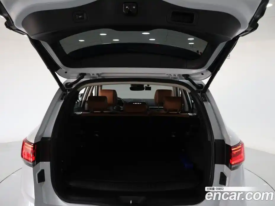 Renault QM6 2025 2.0 гидро, фото 18
