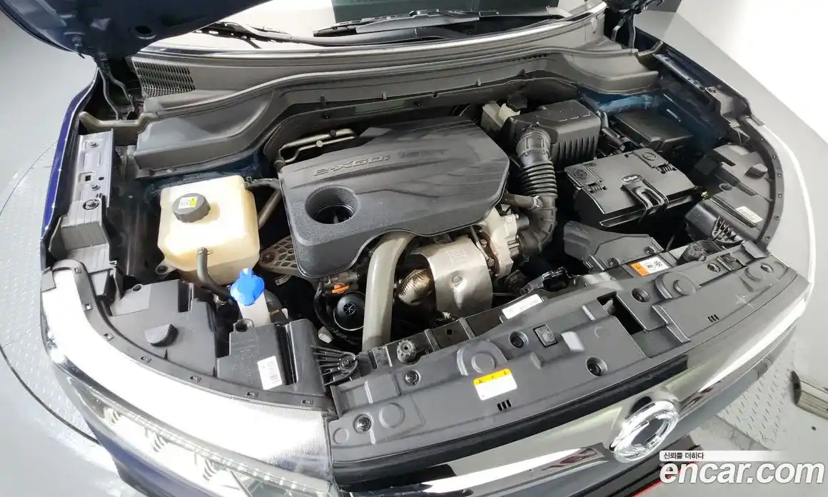 SsangYong TIBOLI 2019 1.5 гидро, фото 6
