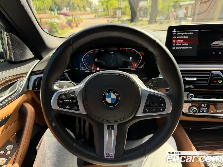 BMW 5-Series 2021 2.0 гидро, фото 18