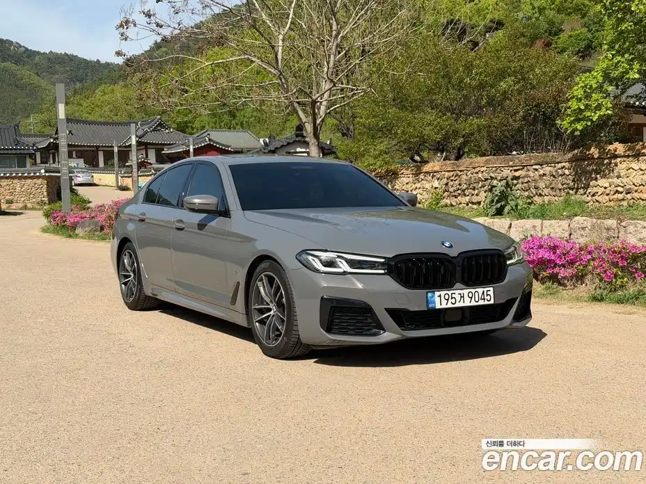 BMW 5-Series 2021 2.0 гидро, фото 3