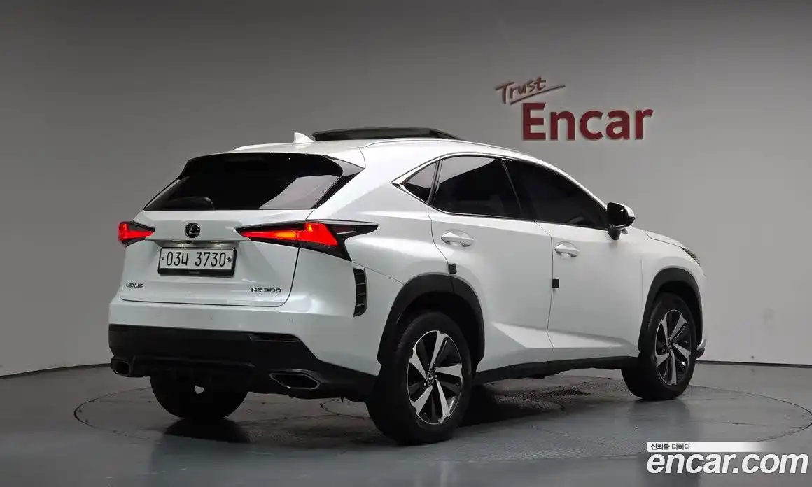 Lexus NX 2017 2.0 гидро, фото 1
