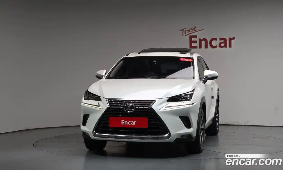Lexus NX 2017 2.0 гидро, фото 2