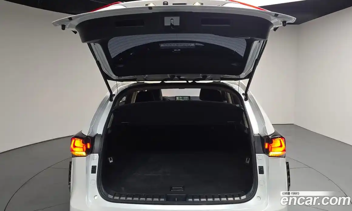 Lexus NX 2017 2.0 гидро, фото 25