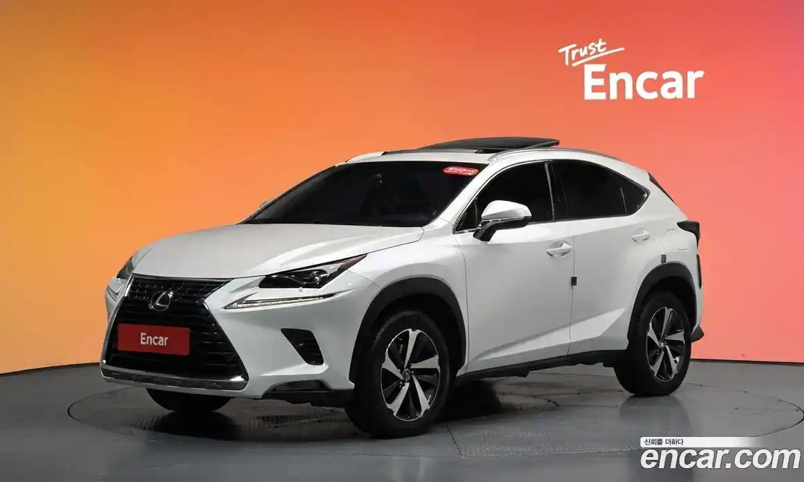 Lexus NX 2017 2.0 гидро, фото 33