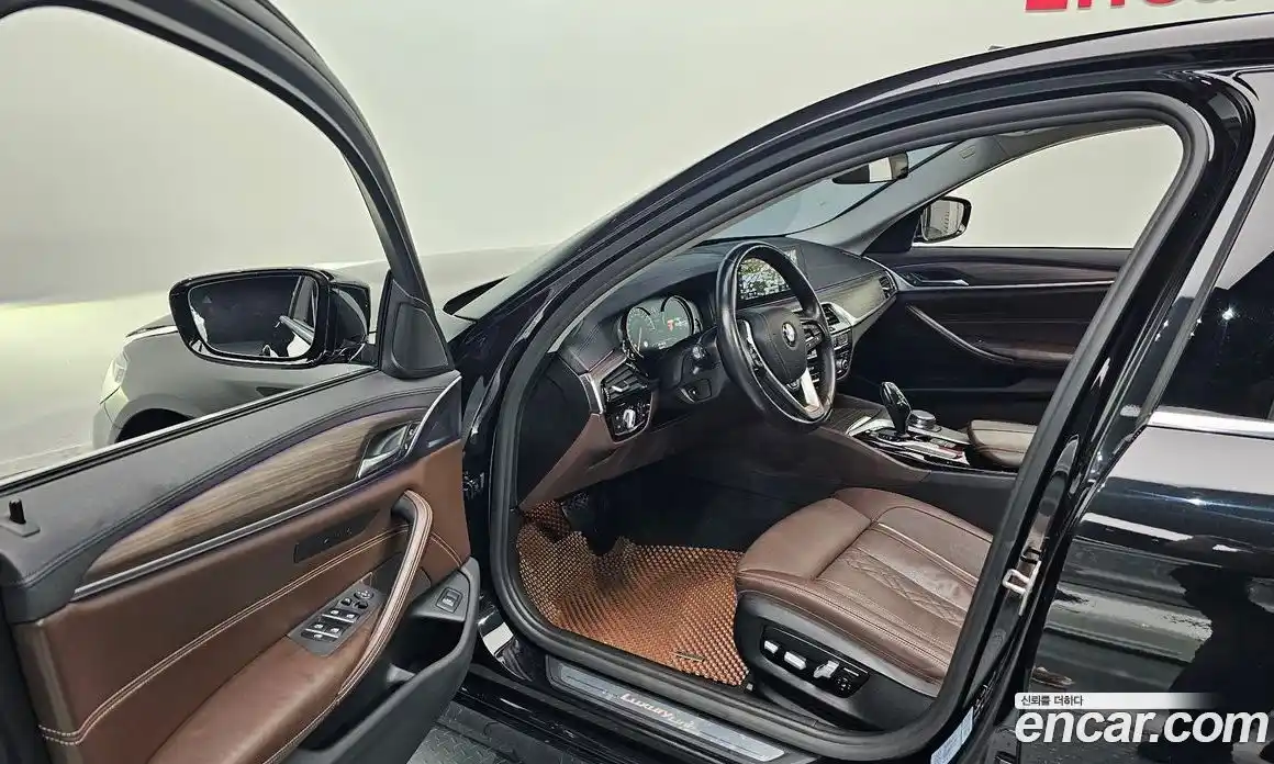 BMW 5-Series 2018 2.0 гидро, фото 10