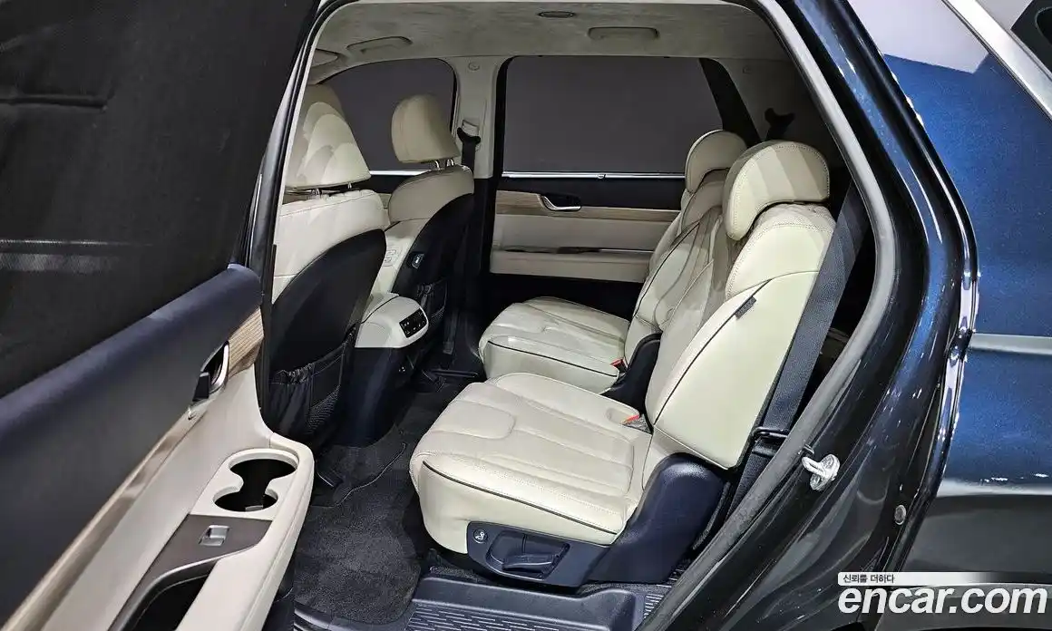 Hyundai Palisade 2021 2.2 гидро, фото 12