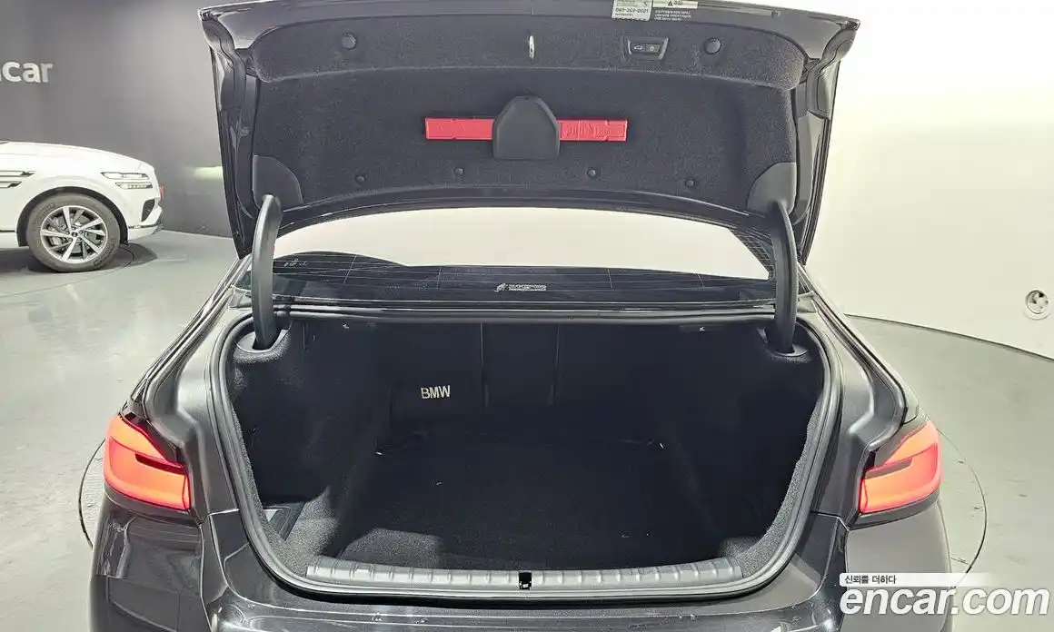 BMW 5-Series 2023 2.0 гидро, фото 20