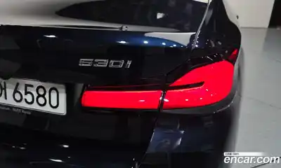BMW 5-Series 2020 2.0 гидро, миниатюра 9