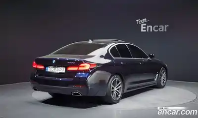 BMW 5-Series 2021 2.0 гидро, миниатюра 2