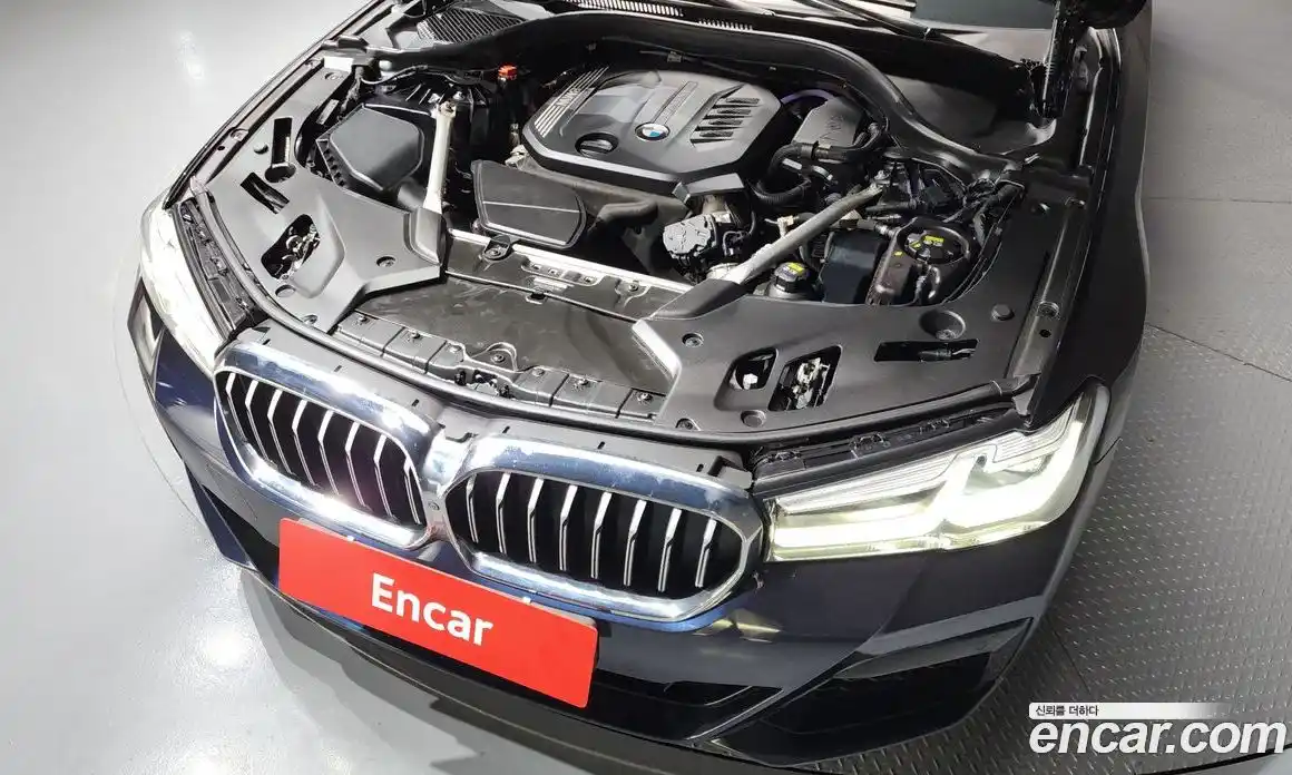 BMW 5-Series 2021 2.0 гидро, фото 6