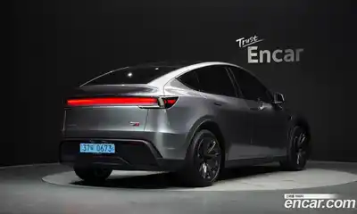 Tesla Model Y 2025 0.2 гидро, миниатюра 2