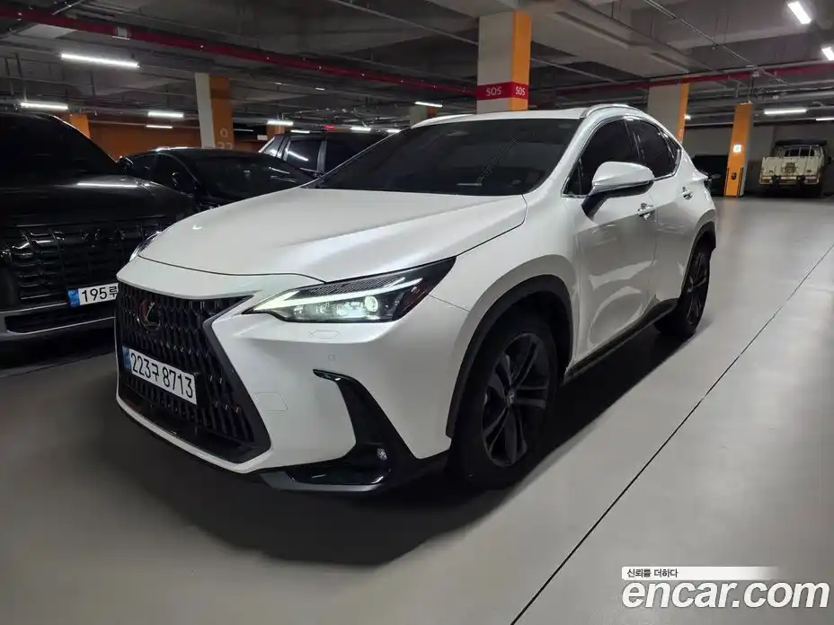 Lexus NX 2024 2.5 вариатор, фото 1