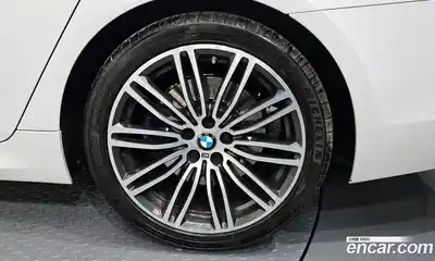 BMW 5-Series 2020 2.0 гидро, миниатюра 7