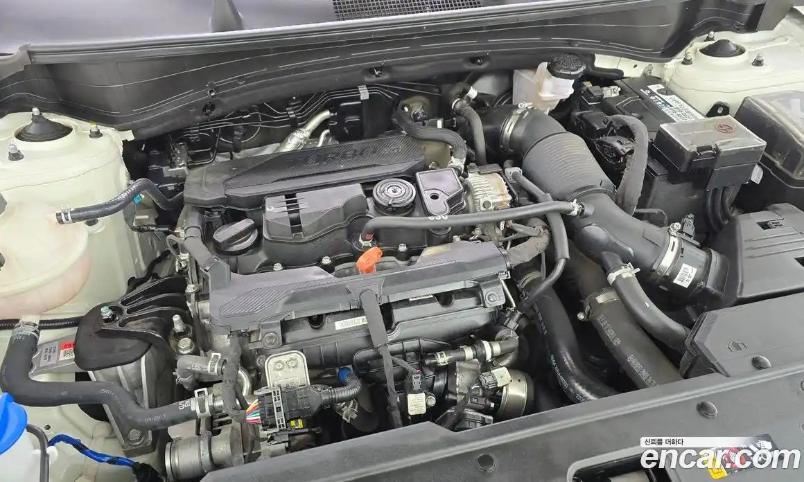 Kia Sportage 2022 1.6 гидро, фото 6