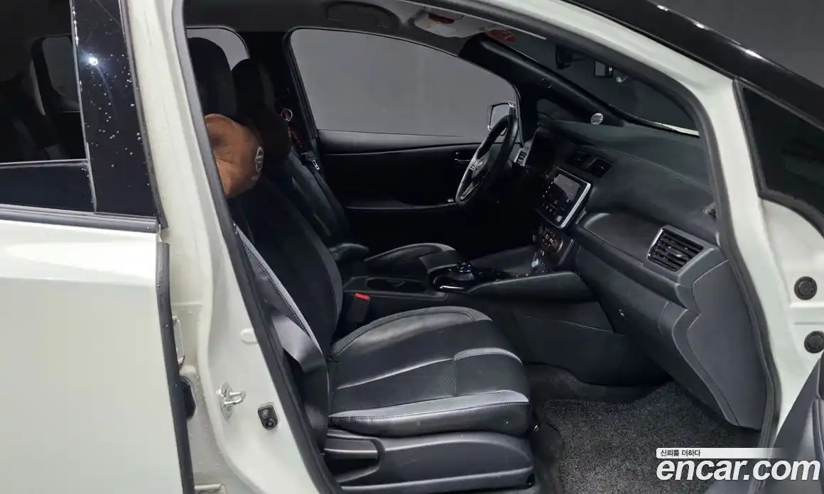 Nissan Leaf 2019 0.1 гидро, фото 17