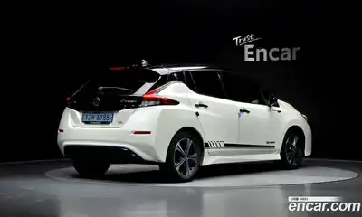 Nissan Leaf 2019 0.1 гидро, миниатюра 2