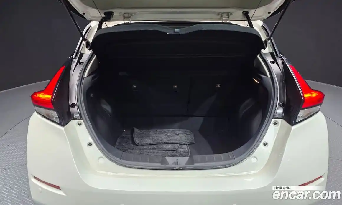 Nissan Leaf 2019 0.1 гидро, фото 26