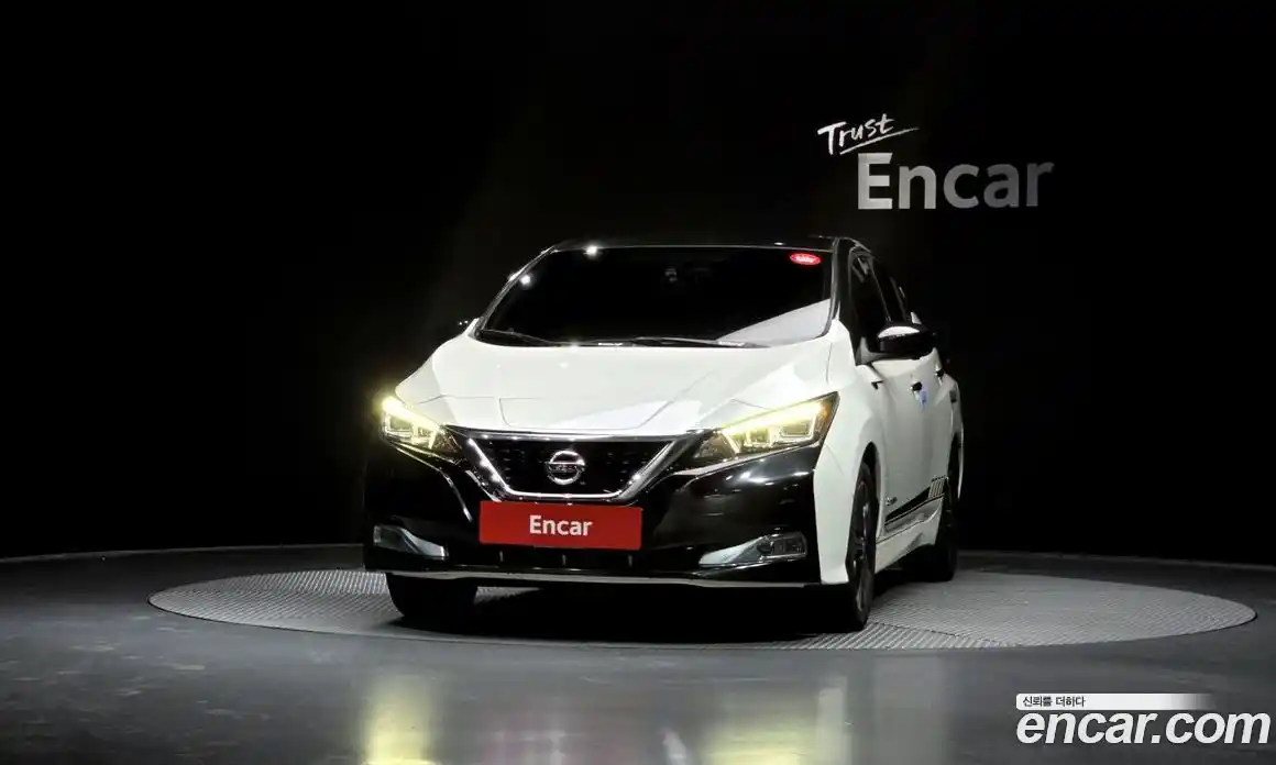 Nissan Leaf 2019 0.1 гидро, фото 3