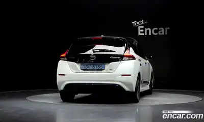 Nissan Leaf 2019 0.1 гидро, миниатюра 4