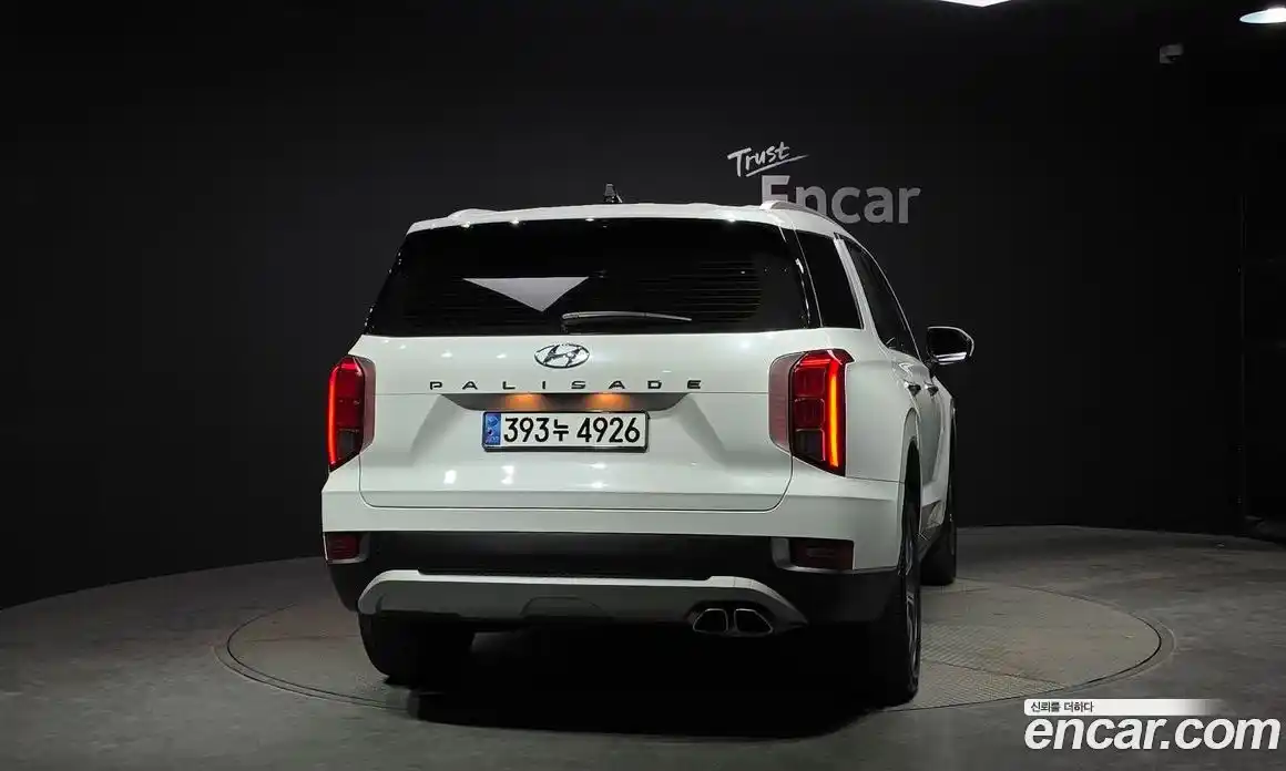 Hyundai Palisade 2021 3.8 гидро, фото 4