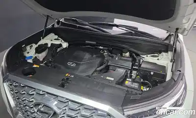 Hyundai Palisade 2021 3.8 гидро, миниатюра 6